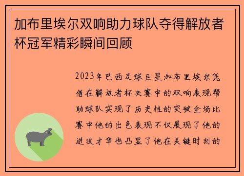 加布里埃尔双响助力球队夺得解放者杯冠军精彩瞬间回顾